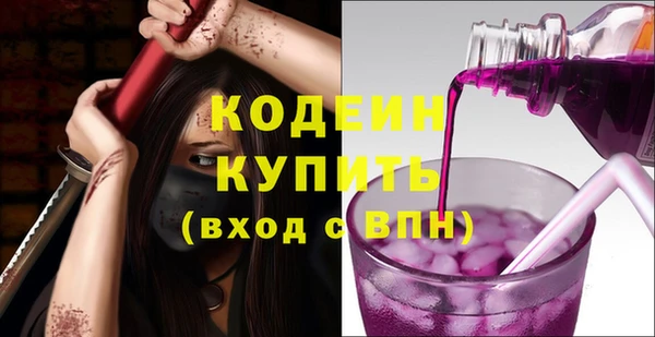 соль ск Ельня