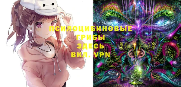 соль ск Ельня