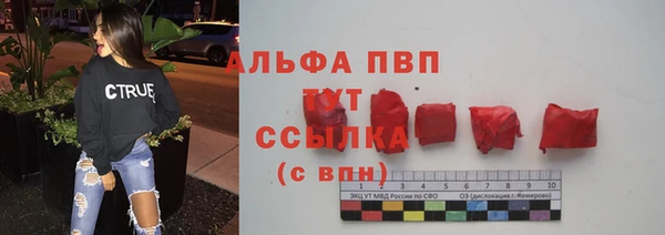 соль ск Ельня