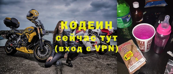 соль ск Ельня