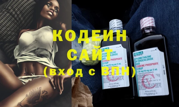соль ск Ельня