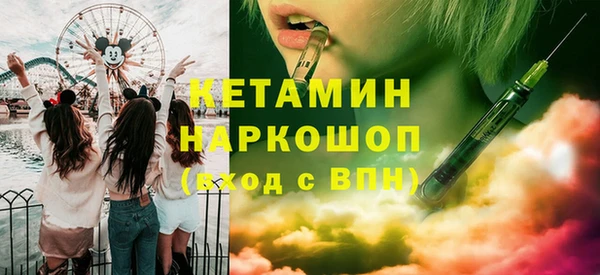 соль ск Ельня