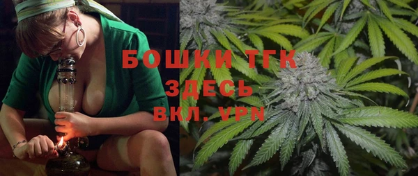 соль ск Ельня