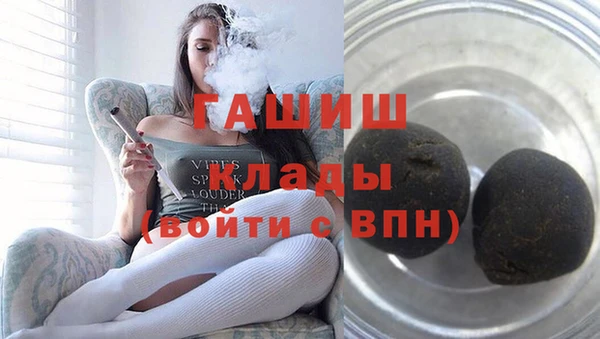 соль ск Ельня