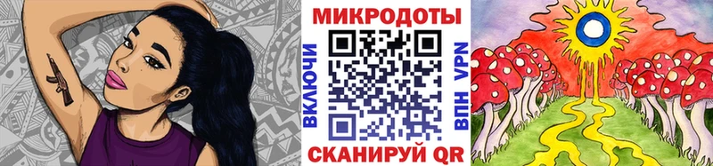 Купить где  Починок  Псилоцибиновые грибы Psilocybine cubensis 